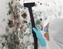 Why You Should Choose Our Mold Remediation Services in Bradford, PA